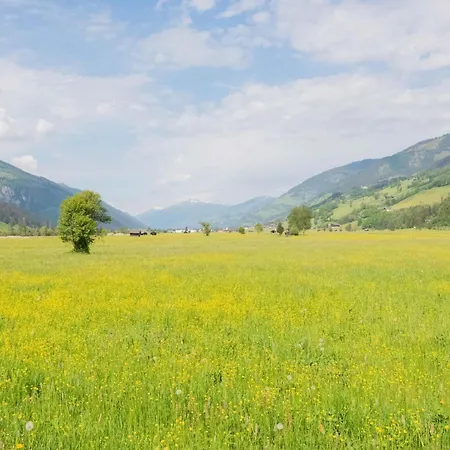 別荘 In Near Slopes ニーダーンジル